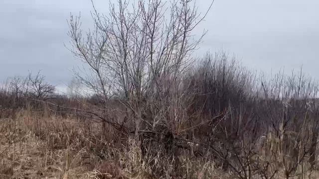 VID_20250726_201854_775.mp4.mov смотреть онлайн