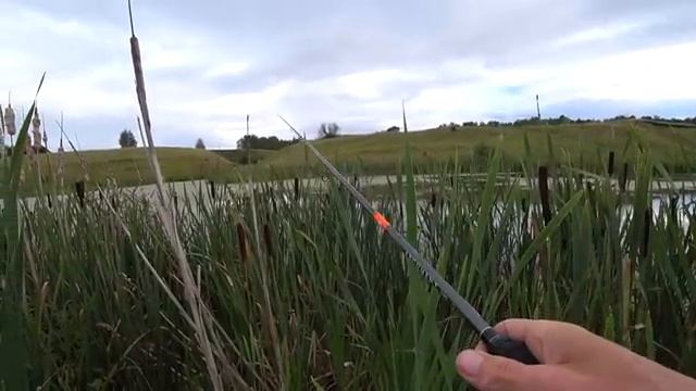 Моя рыбалка смотреть онлайн