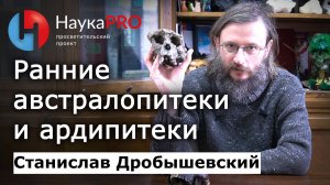 Ранние австралопитеки и ардипитеки – Станислав Дробышевский | Лекции по антропологии | Научпоп