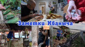 Лето в деревне: печные работы продолжаются, приехал старший внук и град в конце июня