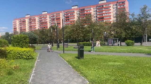 Зелёный Оазис Парка под Ярким Светом Летнего Солнечного Дня