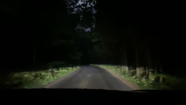 AFS Nissan Murano Z52