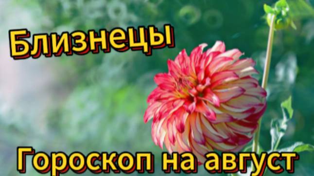 Близнецы! Гороскоп на август 2025 года! смотреть онлайн