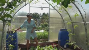 6 соток 25 июля 2025 года. Хроника.