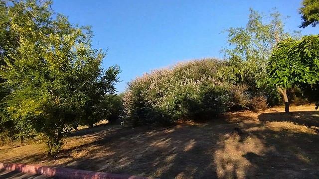 Субботний вечер на Керченской набережной смотреть онлайн