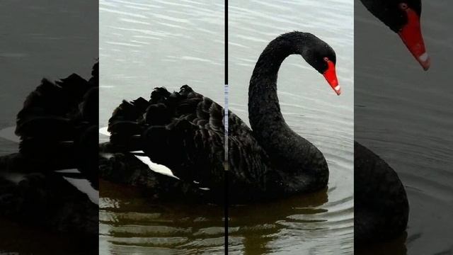 Это интересно-41