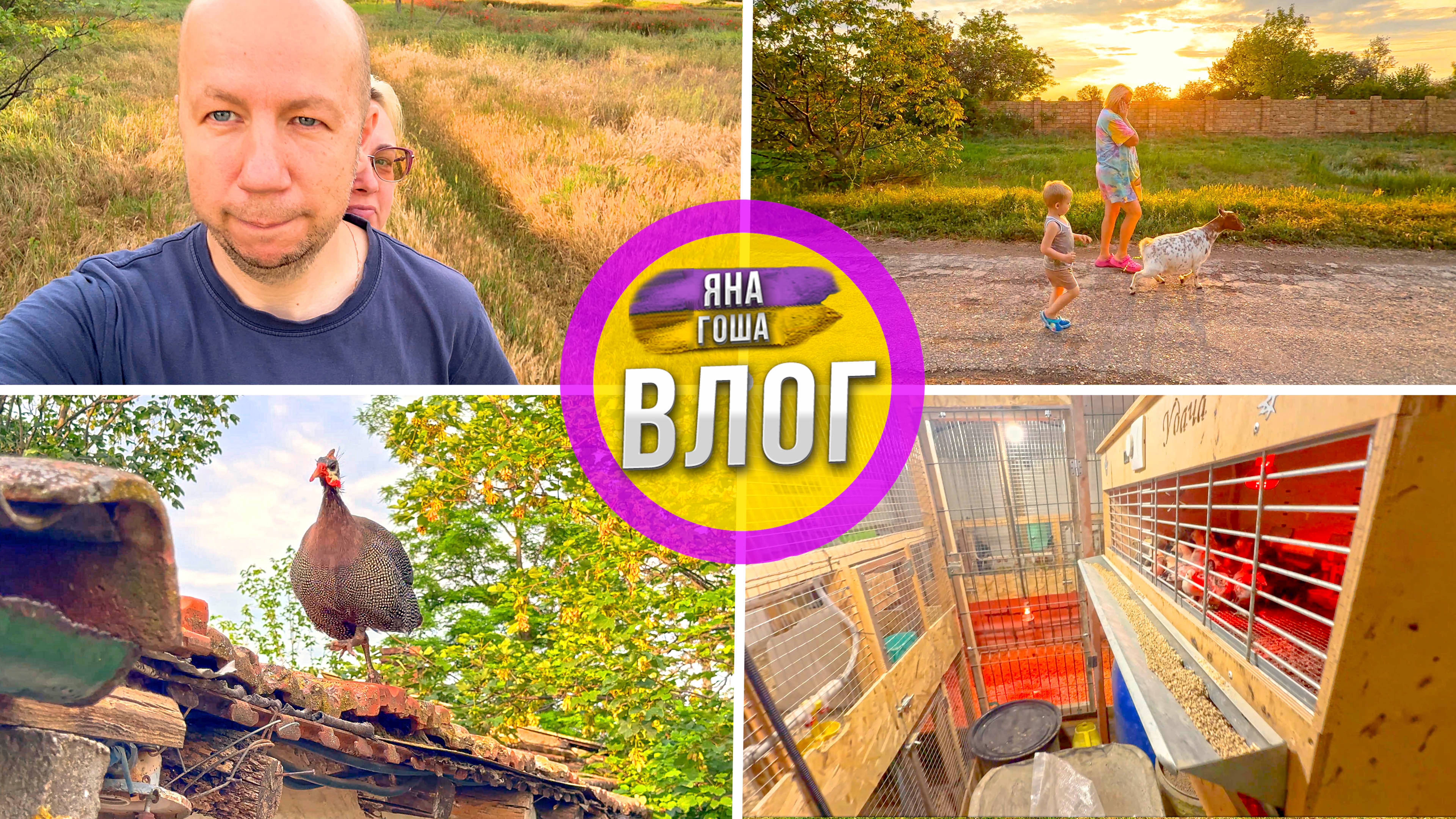 Коза Ягодка совершила побег с фермы прямо у нас на глазах! Угадайте, ради чего? Жизнь в селе. Крым смотреть онлайн