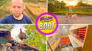 Коза Ягодка совершила побег с фермы прямо у нас на глазах! Угадайте, ради чего? Жизнь в селе. Крым