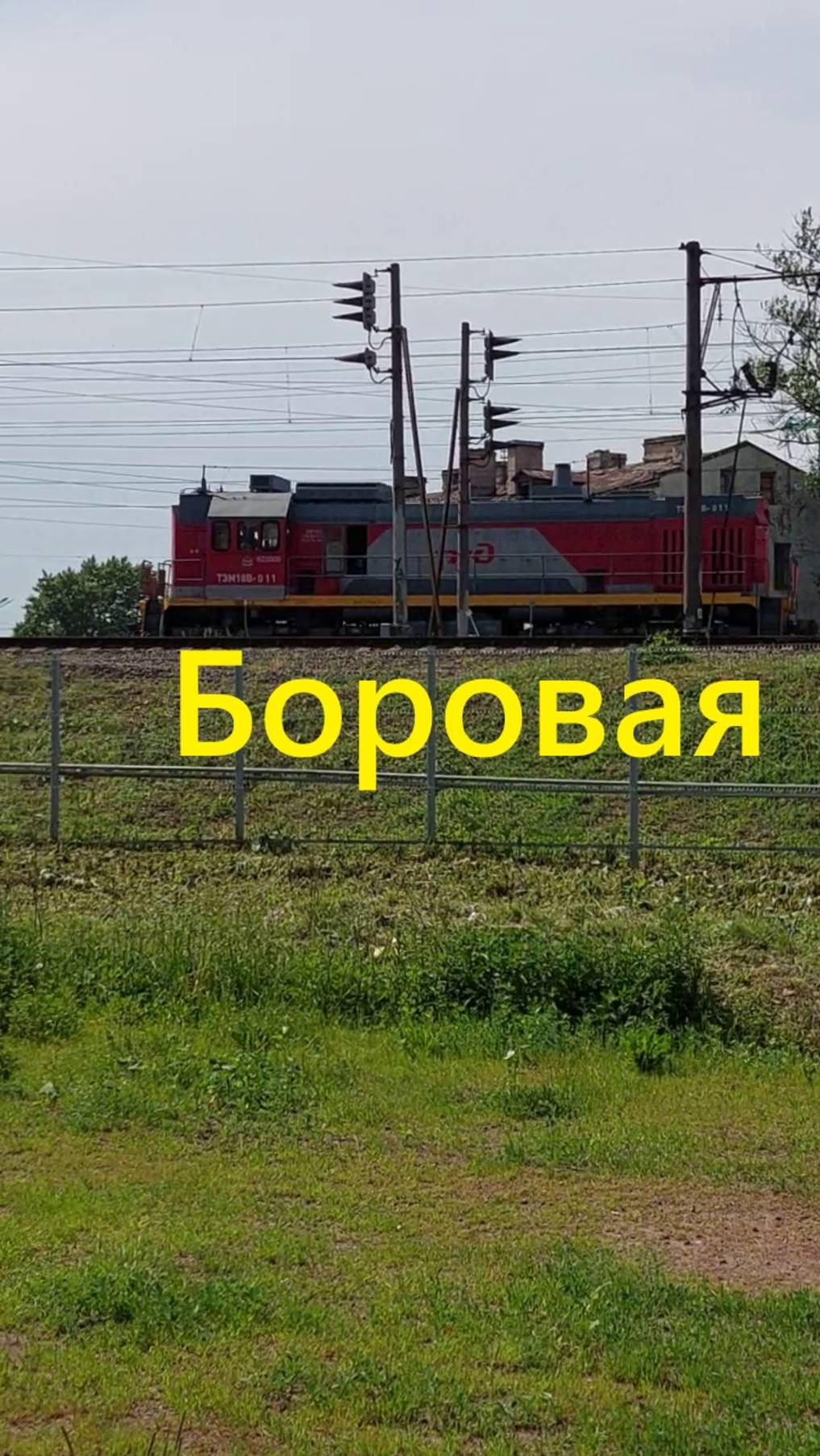 Удивительный маневр: тепловоз на платформе Боровая! смотреть онлайн