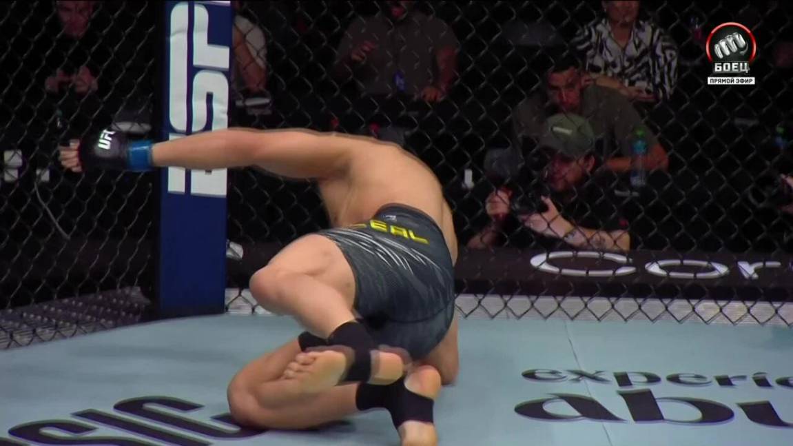Муслим Салихов нокаутировал Карлоса Леала (видео). UFC Fight Night смотреть онлайн
