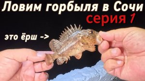 Ловим горбыля 1 часть
