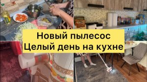 Новый пылесос. Мотивация на уборку