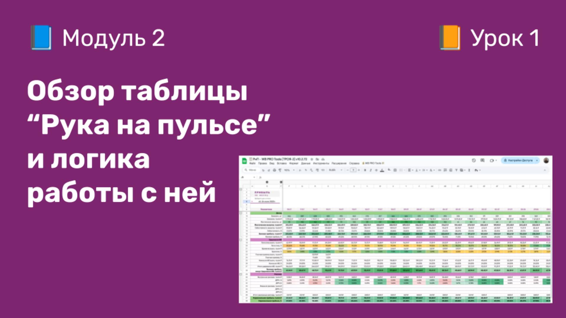 2-1 Обзор таблицы Рука на Пульсе WB PRO Tools и логика работы с ней | Курс по оцифровке кабинета WB
