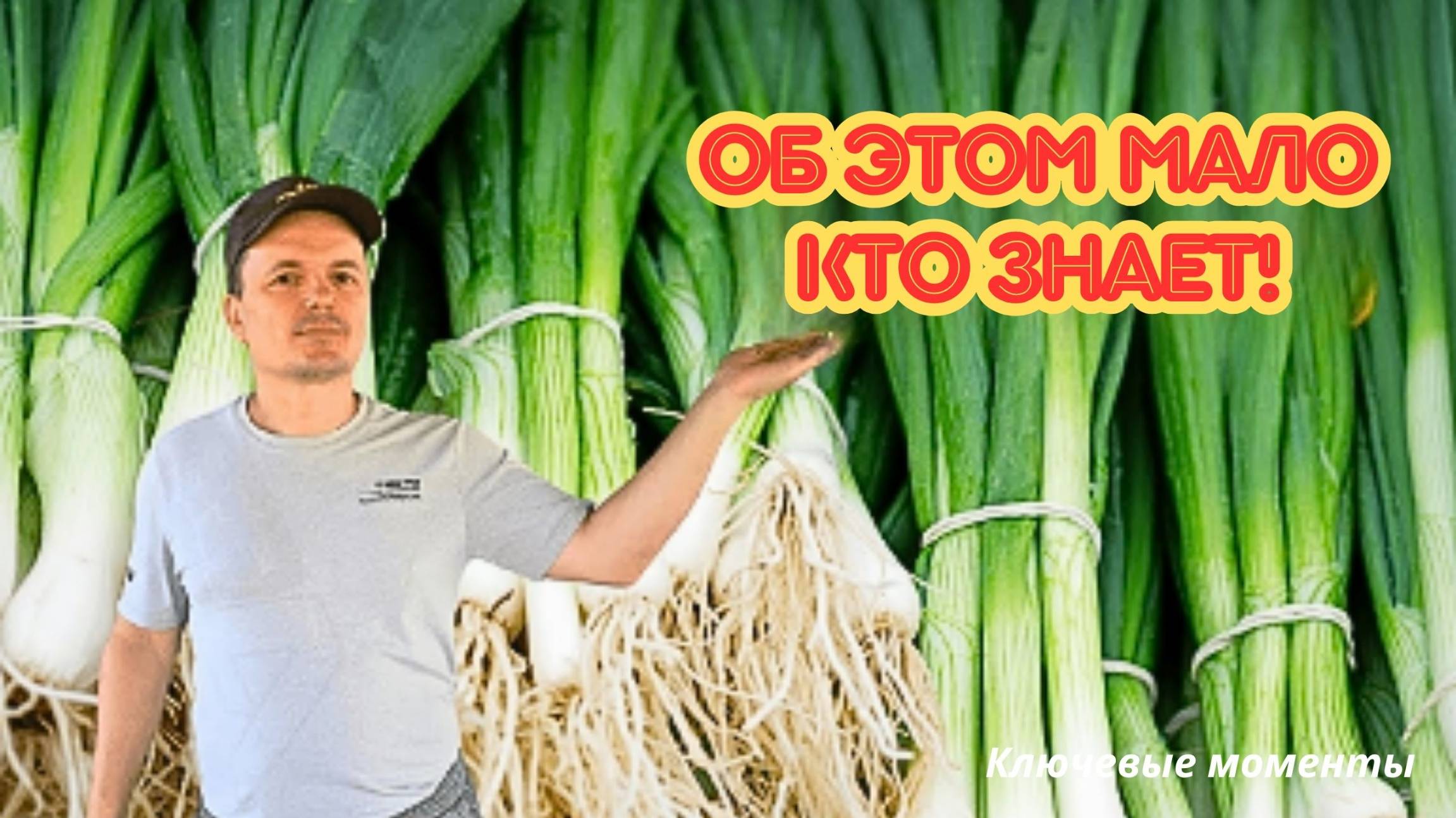 Лёгкий способ прилично заработать! Лук батун в теплице смотреть онлайн