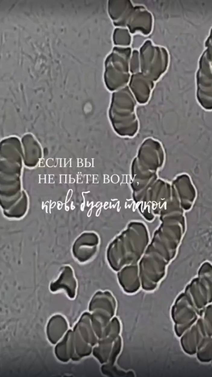 Человек пил один стакан воды в день. Достаточно ли одного стакана воды в день? смотреть онлайн