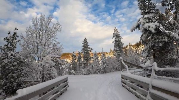 Winter Wonderland Nature Scenery Virtual Running Videos For Treadmill Workout
