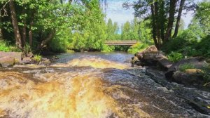 Сплав на сапе по реке Вьюн, июль 2025, день 2