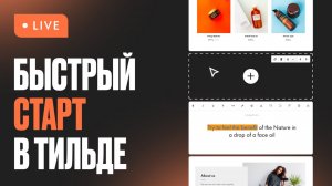 Начало работы в Tilda: создайте первый сайт за час