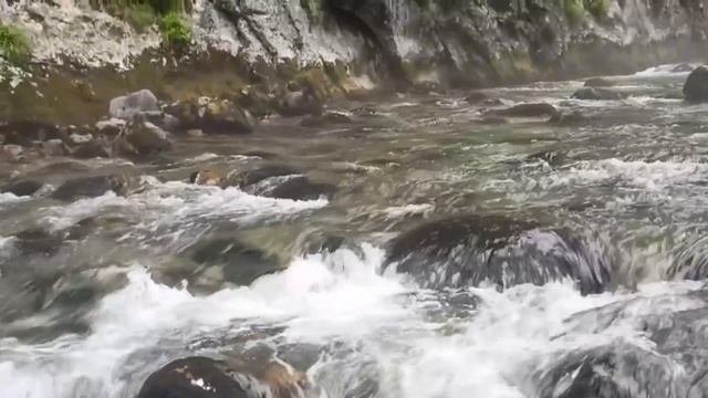 🏞 Сочи. Горная река в тумане. Шум бегущей воды: Природная красота смотреть онлайн