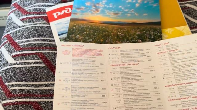 Поезд 102 Москва -Адлер /Адлер Москва .Вагон СВ ,мы просто в шоке смотреть онлайн