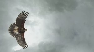 ABBA (Cover) - Eagle - ОЛЕГ ЮРАСОВ - Все голоса спеты Олегом Юрасовым...