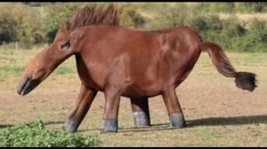 ОГО ДЕТСКИЕ РИСУНКИ ОЖИВАЮТ! МИЛЫЕ И ЗАБАВНЫЕ НАБРОСКИ ДЕТЕЙ НАЧИНАЮТ ДВИГАТЬСЯ С ПОМОЩЬЮ ТЕХНОЛОГИЙ