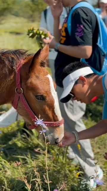 Студенты из Китая познакомились с историей Липецкой земли смотреть онлайн