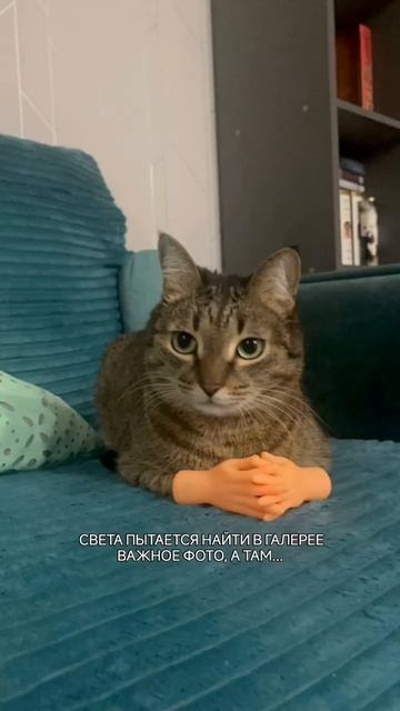 Когда ищешь важное фото в галере