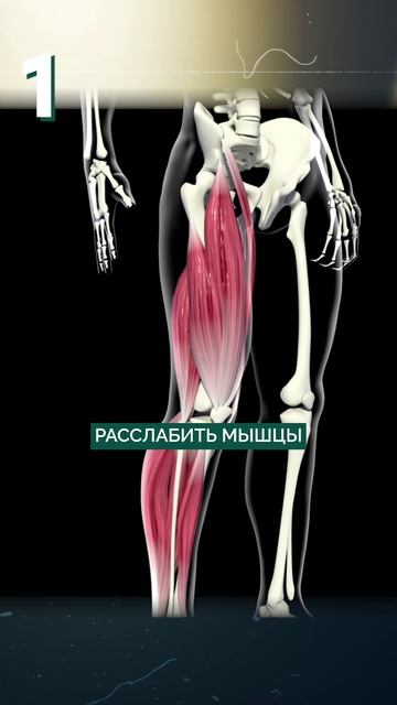 Вы УБИВАЕТЕ свои стопы! #стопы #ноги #вальгуснаядеформация смотреть онлайн