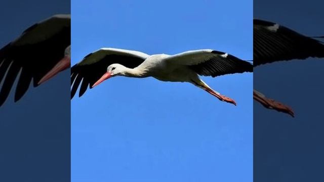 Это интересно-42