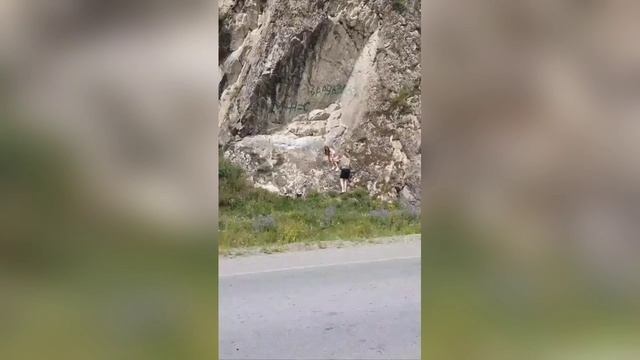 Вандалы в Республике Алтай смотреть онлайн