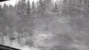 Санкт-Петербург – Псков. Поезд № 223.