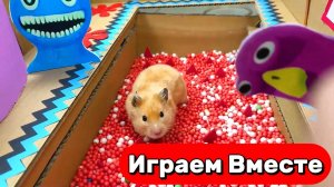 БОЛЬШОЙ ЛАБИРИНТ С ЛОВУШКАМИ ДЛЯ УМНОГО ХОМЯКА 🐹 ВИДЕО ДЛЯ ДЕТЕЙ №2