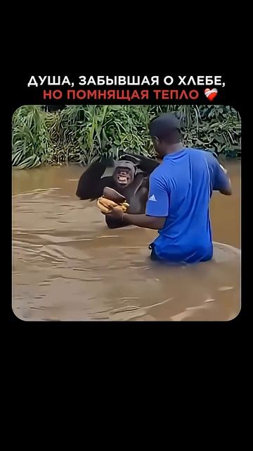 Когда принес любимые чипсы в постель смотреть онлайн