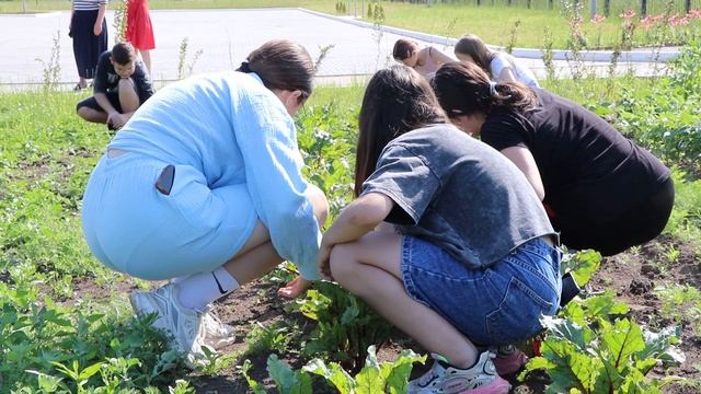 Летняя практика