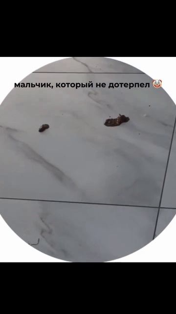 Первый день на работе : кто-то обделался в зале смотреть онлайн