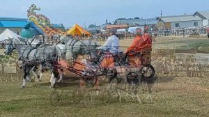 Орловский рысак, тройка