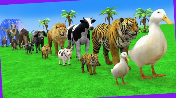 Мультики для детей. Мультики про животных. Дикие животные： горилла, тигр, бегемот. Смотреть онлайн