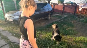 Жара продолжается. Приехали гости. Жизнь на пенсии.