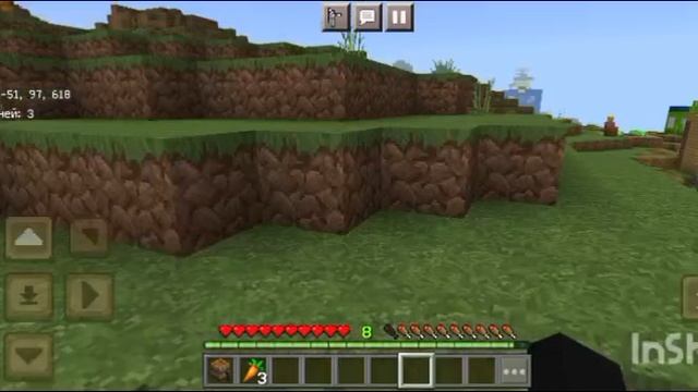 В МАЕЙ ДЕРЕВНЕ УКРАЛИ АМЕТИСТ.