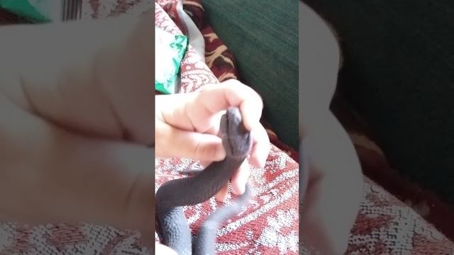 Драка смотреть онлайн