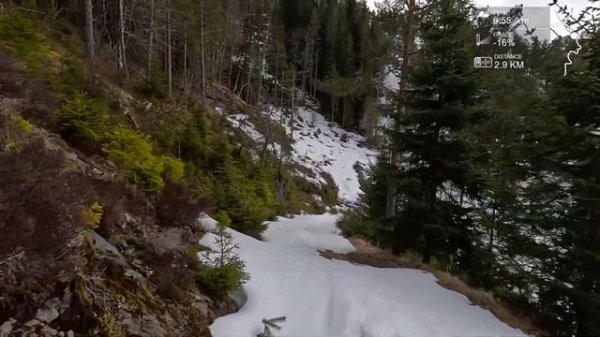 Virtual Run Running On Treadmill