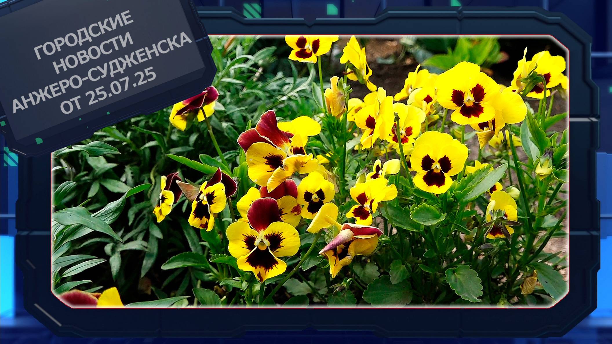 Городские новости Анжеро-Судженска от 25.07.25 смотреть онлайн