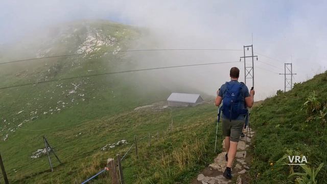 Virtual Run Fields Nature Scenery Trail Running Video