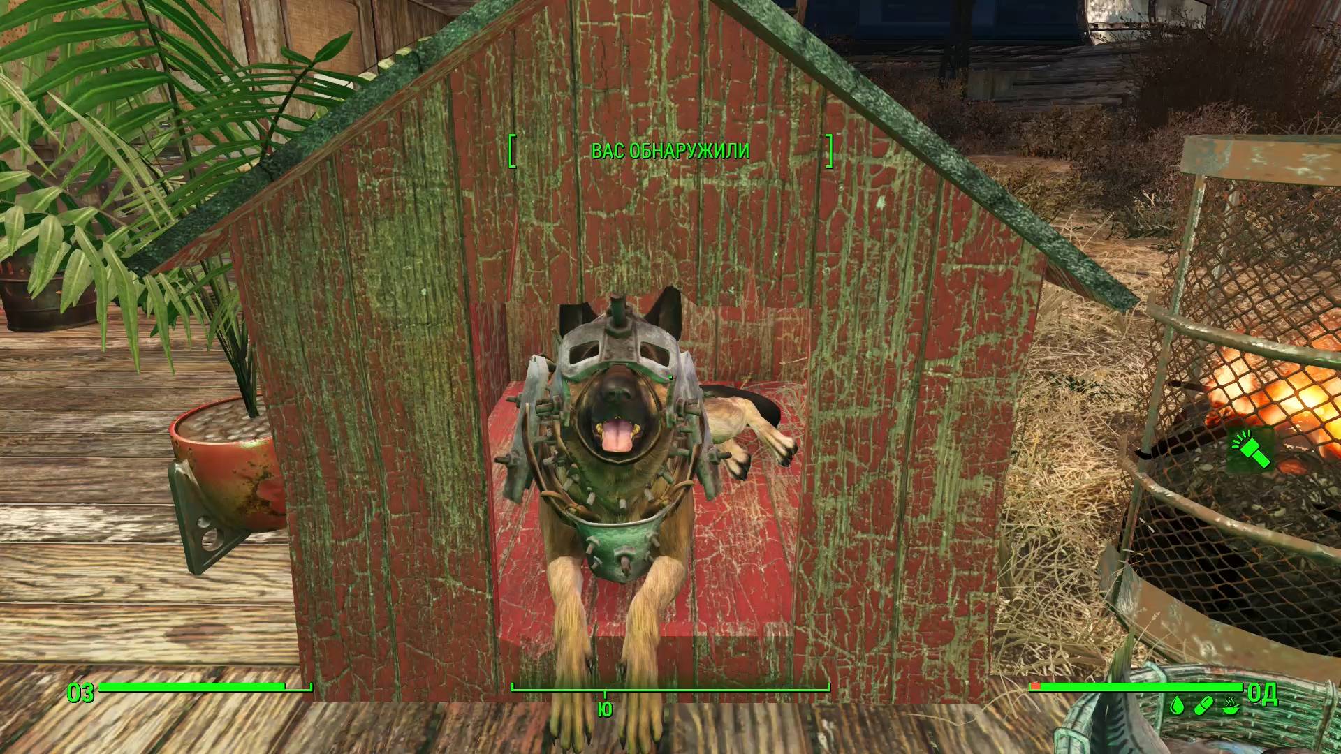 Проверяем Клетки для Животных Fallout 4