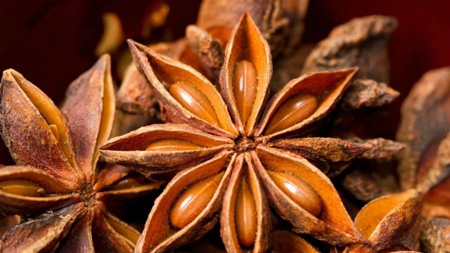 Как растет Бадьян популярная пряность