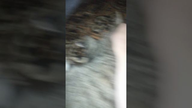 VID_20250723_202252.mp4