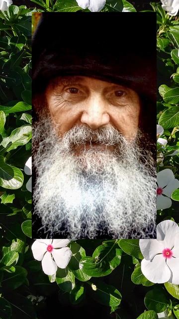 О рае смотреть онлайн