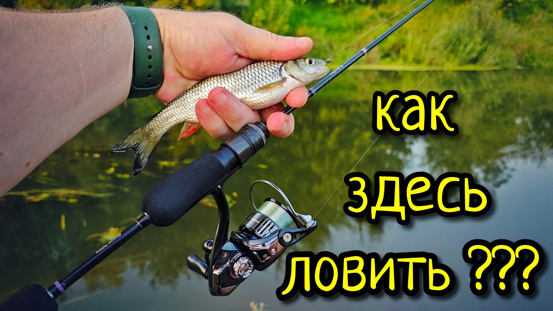 МОРМЫШИНГ, КОГДА ВСЁ ЗАРОСЛО !!! КАТУШКА ДЛЯ МОРМЫШИНГА NAUTILUS FUKURU 2000SS, НАС ОПЯТЬ ОБМАНУЛИ