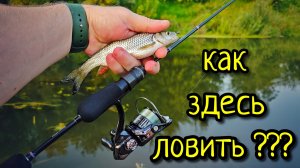 МОРМЫШИНГ, КОГДА ВСЁ ЗАРОСЛО !!! КАТУШКА ДЛЯ МОРМЫШИНГА NAUTILUS FUKURU 2000SS, НАС ОПЯТЬ ОБМАНУЛИ